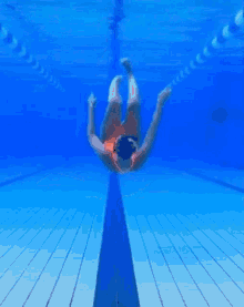 swimming tik tok under synchronize