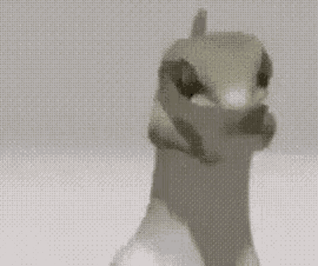 tenor.gif tenor.gif