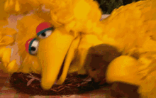 Sesame Street Big Bird GIF - Sesame Street Big Bird Cant Sleep GIFs