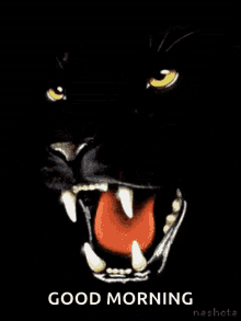 black panther roar