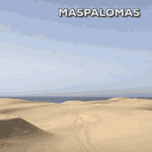 maspalomas dunes