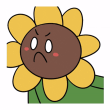 flower sunflower