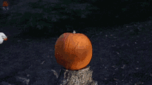 Surprise It'S Almost Halloween! GIF - Halloween Pumpkin GIFs