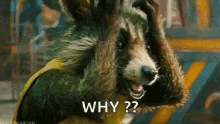 Guardians Of The Galaxy Frustrated GIF - Guardians Of The Galaxy Frustrated Rocket Racoon GIFs