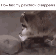 Broke Paycheck GIF - Broke Paycheck Disappear GIFs