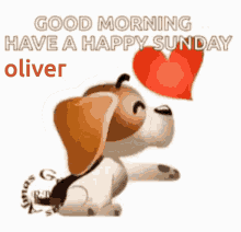Happy Sunday Oliver Good Morning GIF - Happy Sunday Oliver Oliver Happy GIFs