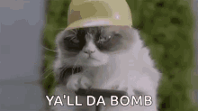 grumpy cat explode explosion bomb