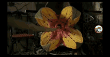 Killer Flower Pull GIF - Killer Flower Pull Omg GIFs