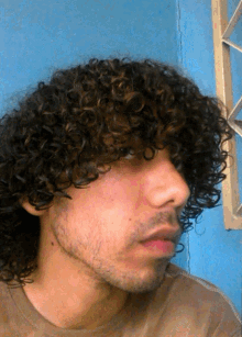 curly hair hows my hair serious look nod