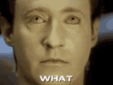 Data What GIF - Data What Did GIFs