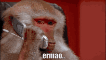 ermao osu monkey phone call ermao osu monkey phone call