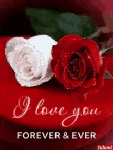 I Love You Forever And Ever GIF - I Love You Forever And Ever Roses GIFs