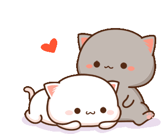 mochi-and-mochi-peach-cat.gif