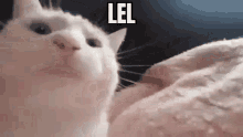 Lel Made GIF - Lel Made By GIFs