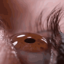Eye Eye Drop GIF - Eye Eye Drop Drop GIFs