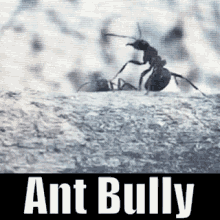Ant Bully Ants GIF - Ant Bully Ant Ants GIFs