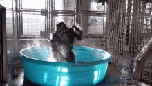 Gorilla Shower GIF - Gorilla Shower Angry GIFs