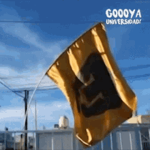 bandera pumas unam goya universidad rebel