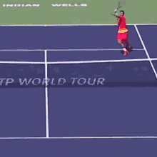Stan Wawrinka Tennis GIF - Stan Wawrinka Tennis Overhead GIFs