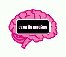 батарейка селабатарейка мозги голованеварит GIF - Low Energy Brains Sela Batarejka GIFs