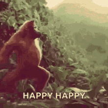 Happy Monkey Happy Happy GIF - Happy Monkey Happy Happy Happy Dance GIFs