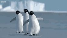 Follow Penguin GIF - Follow Penguin Walk GIFs