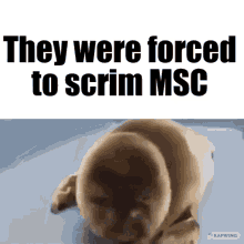 msc lol they were forced