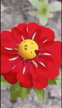 love flower