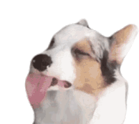 Licking Dog Sticker - Licking Dog Puppy Stickers