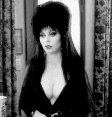 Elvira Mistressofthenight GIF - Elvira Mistressofthenight GIFs