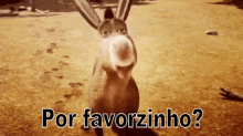 Por Favorzinho / Por Favor / Tô Pedindo / Deixa Vai / Shrek / Burro GIF - Donkey Shrek Pretty Please GIFs