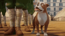 Sgt Stubby Salute GIF - Sgt Stubby Salute Yes Sir GIFs
