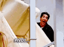 pivot ross david schwimmer