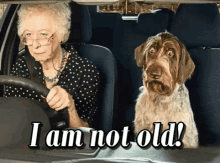 Not Old I Am Not Old GIF - Not Old I Am Not Old Driving GIFs