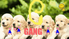 Doggo Dog Gang GIF - Doggo Dog Gang Cute GIFs