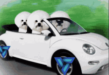 vdl dogs