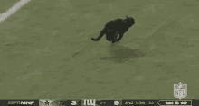 Butters Cat GIF - Butters Cat Running GIFs