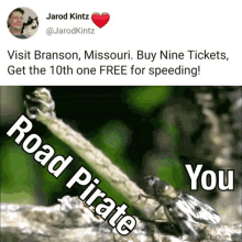 absurd speeding humor you road pirate