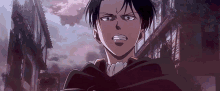 levi