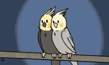 Couple Sweet Birds GIF - Couple Sweet Birds Kiss GIFs