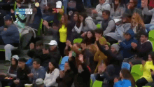 fanaticos porras emocionados felices entusiasmo