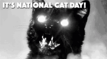 National Cats Day GIF - National Cats Day Cat GIFs