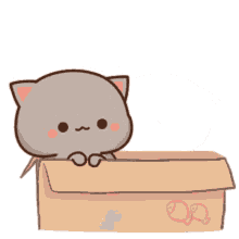 Cute Cat GIF - Cute Cat Cartoon GIFs