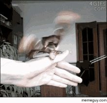 Cool Moth GIF - Cool Moth Insect GIFs