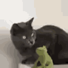 cat knock down slap toy