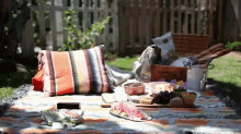 Summer Picnic GIF - Summer Picnic Staycation GIFs