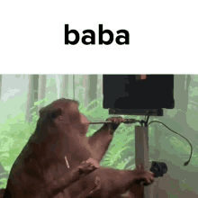 Baba Monkey GIF - Baba Monkey Meme GIFs