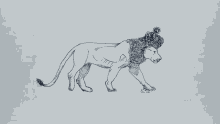 King Lion GIF - King Lion King Of The Jungle GIFs