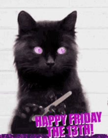 Good Luck On Your Finals Happy Friday The13th GIF - Good Luck On Your Finals Happy Friday The13th Cat GIFs