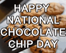 Happy National Chocolate Chip Day GIF - Happy National Chocolate Chip Day Chocolate Chip Cookies GIFs